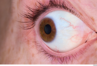 HD Eyes Lexi eye eyelash iris pupil skin texture 0002.jpg